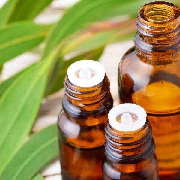 eucalyptus essential oil 1