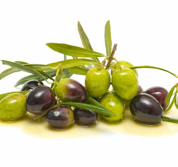 organic extra virgin olive oil 2  1