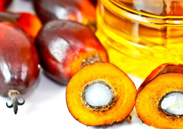 Bulk Palm Oil for Soap Making - Certified RSPO
