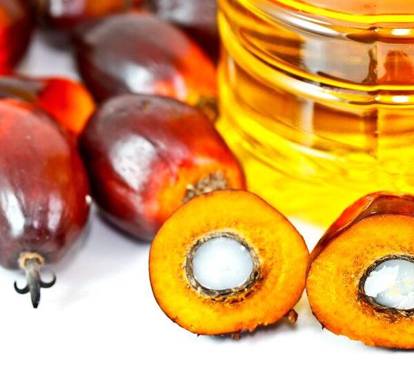 rspo palm oil 1