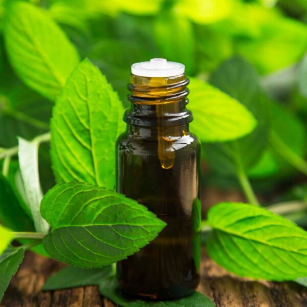 spearmint essential oil 1