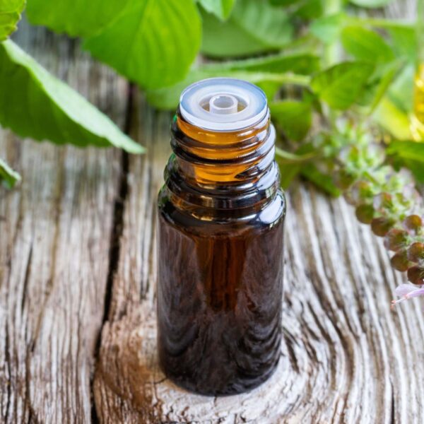 tulsi holy basil essential oil