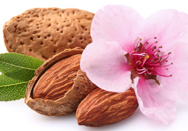 almond fragrance