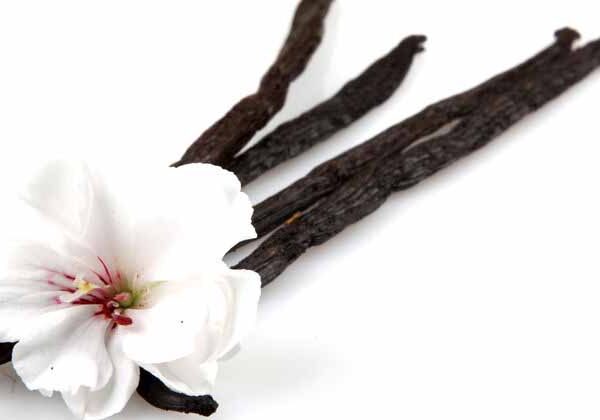 vanilla non discoloring fragrance