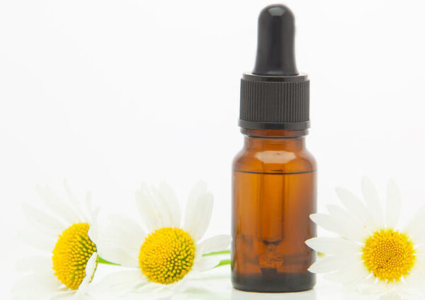 roman chamomile essential oil