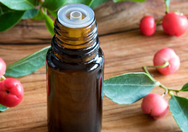 wintergreen essential oil