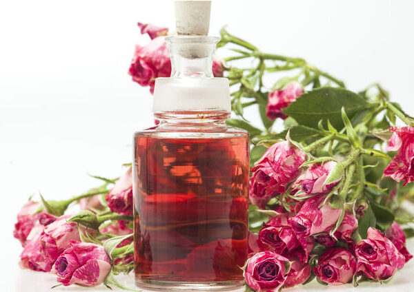 rose fragrance