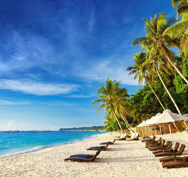 coconut island fragrance