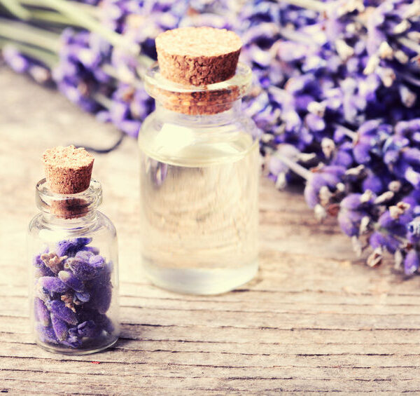 organic lavender hydrosol