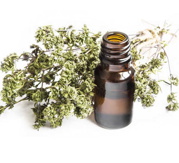 white thyme essential oil