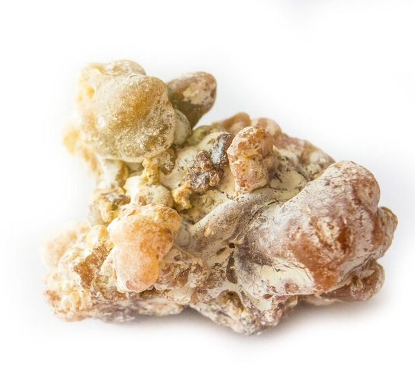 copaiba essential oil