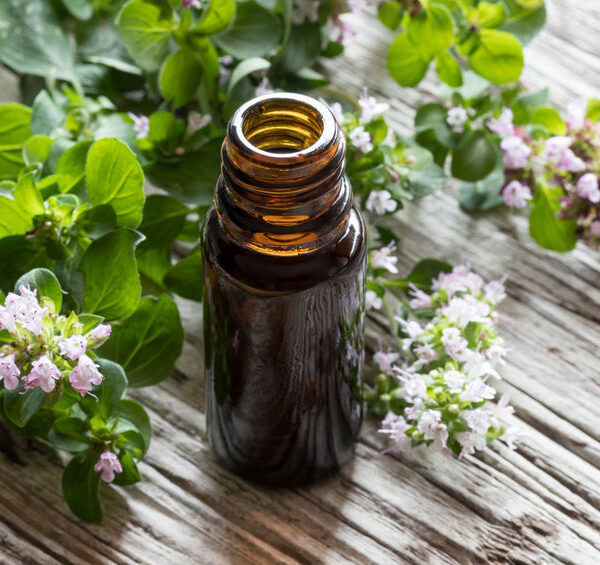 oregano essential oil
