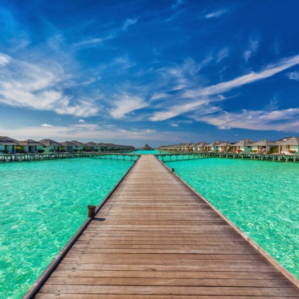 capri blue fragrance for soap and candles