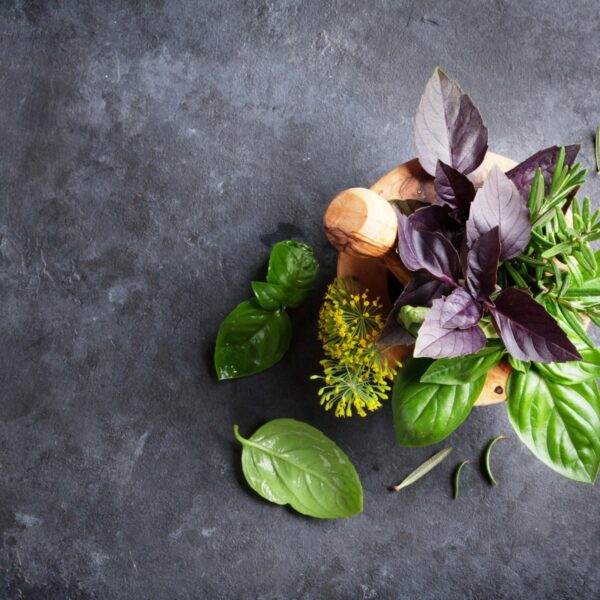 herb garden clean fragrance for soap and candles