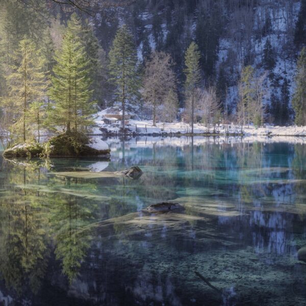 mt hood fragrance for soap and candles