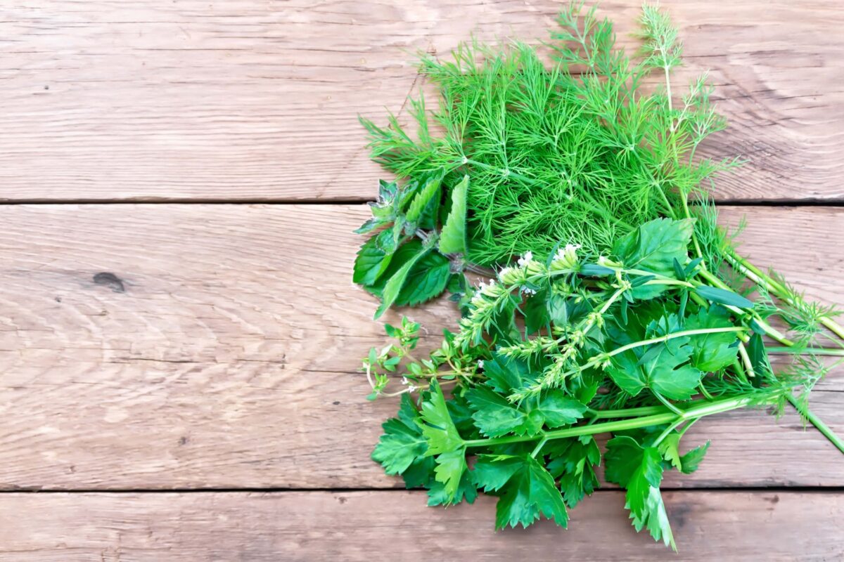 watercress and thyme fragrance for soap and candles