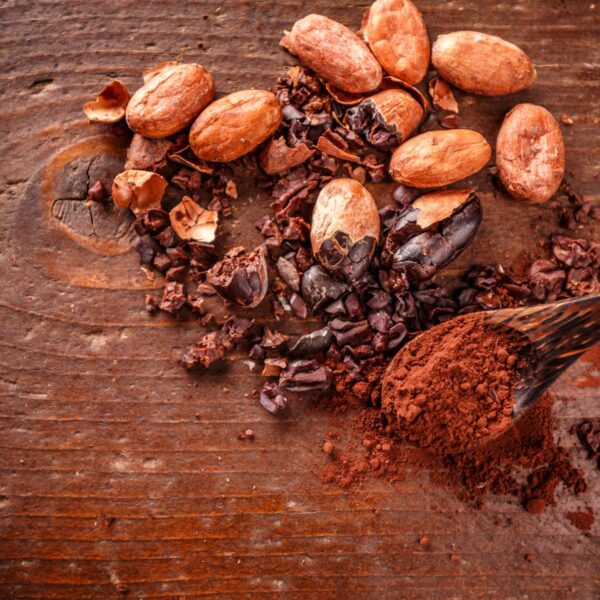 cacoa chocolate essential oil