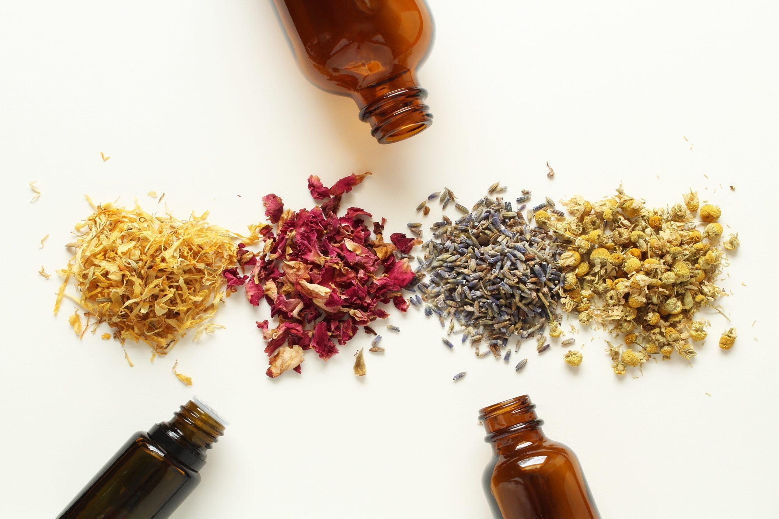 HERBS/DRIED PLANTS