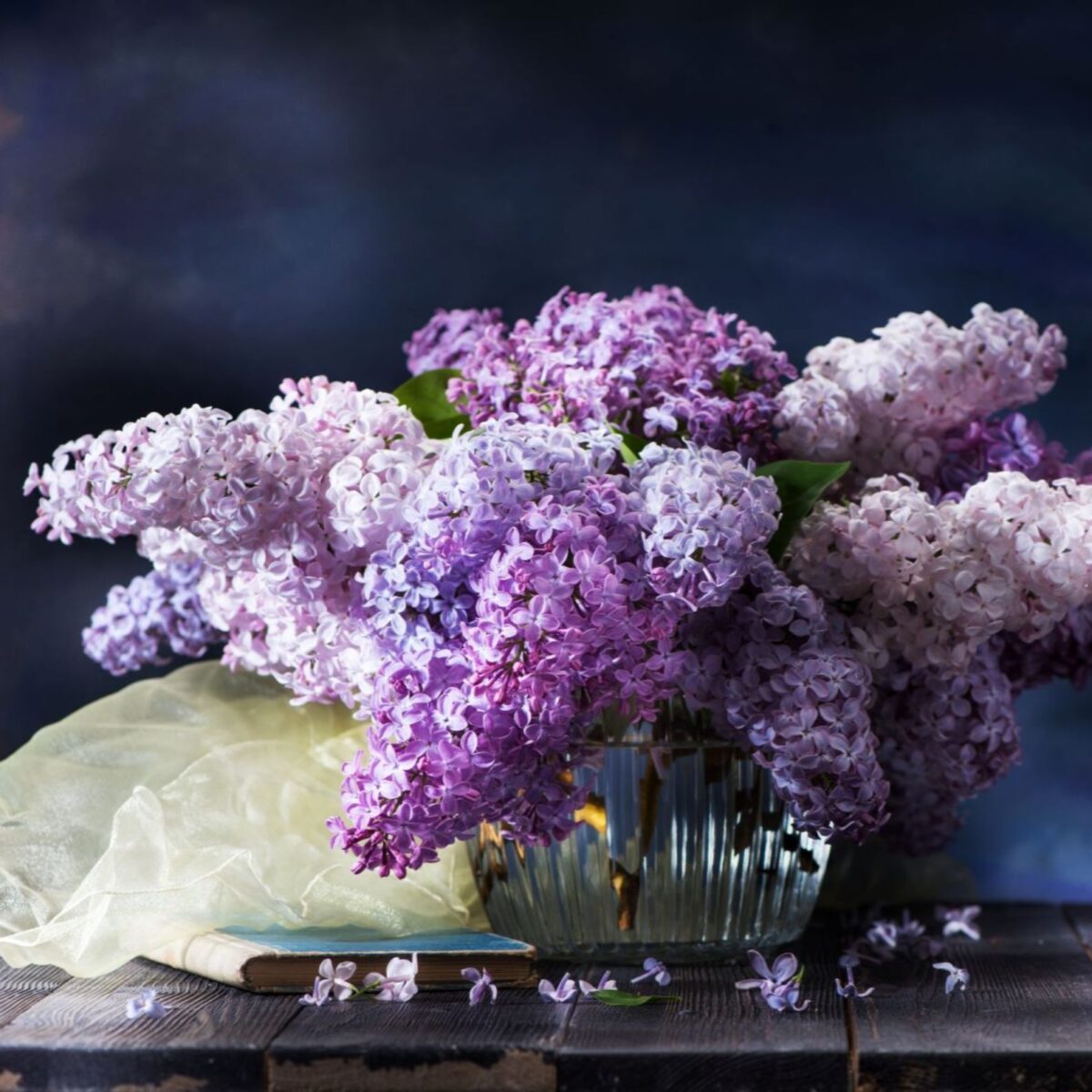 lilac fragrance