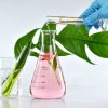 Scientist mixing natural organic extraction and green herbal leaves, Flower aroma essence solution in laboratory.