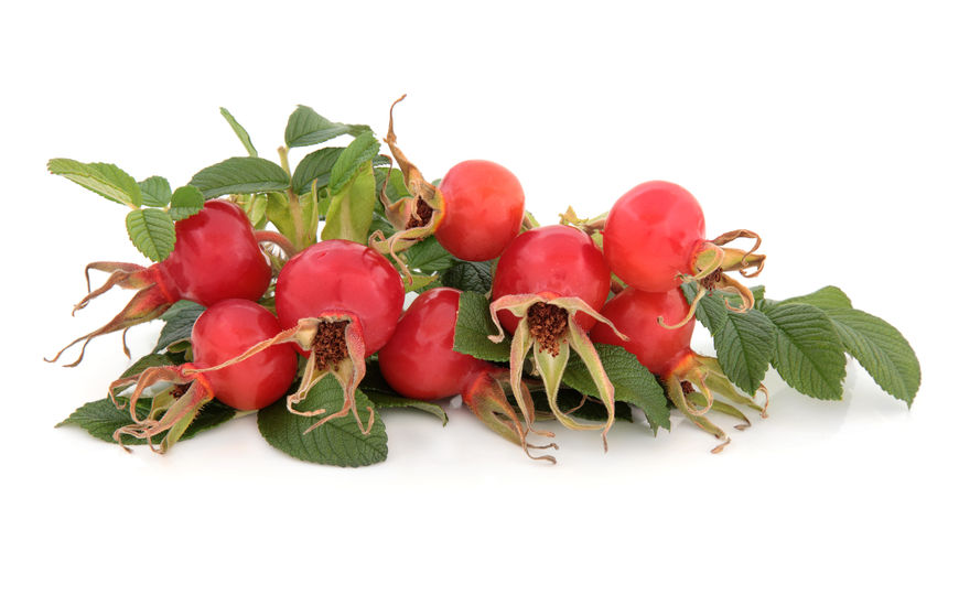 Rosehip Seed Oil Organic Virgin