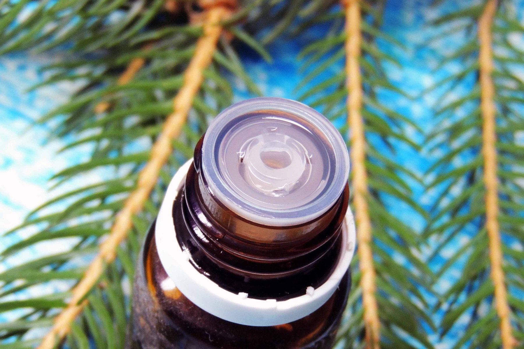 Pine Needle Essential Oil
