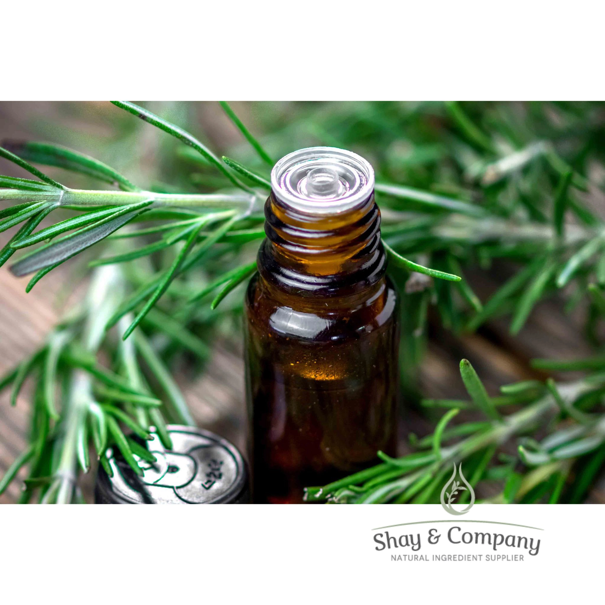Rosemary Essential Oil, Spanish Cineole