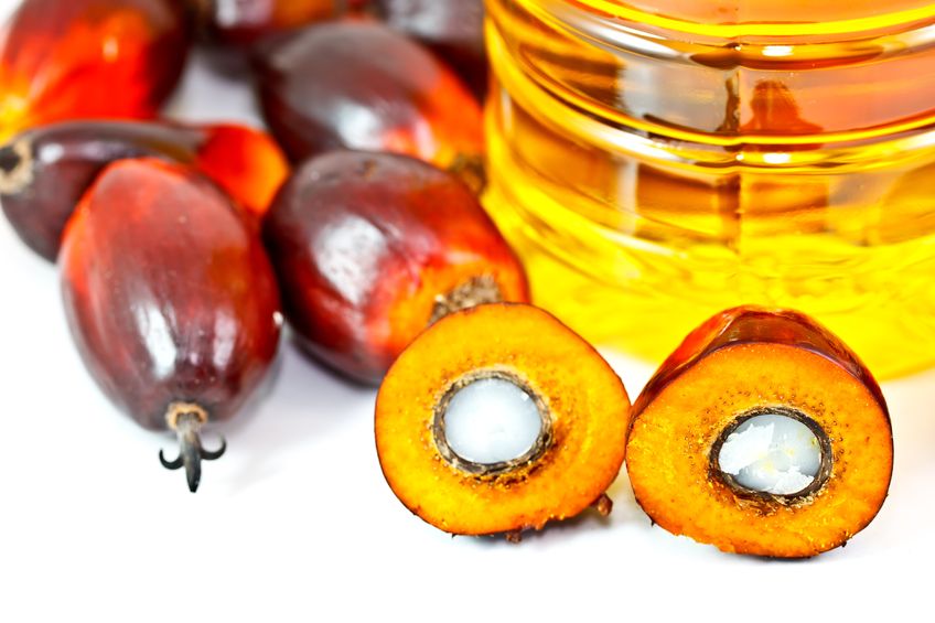 Palm Fruit Oil Organic RSPO Certified, Excellent for Soaps!