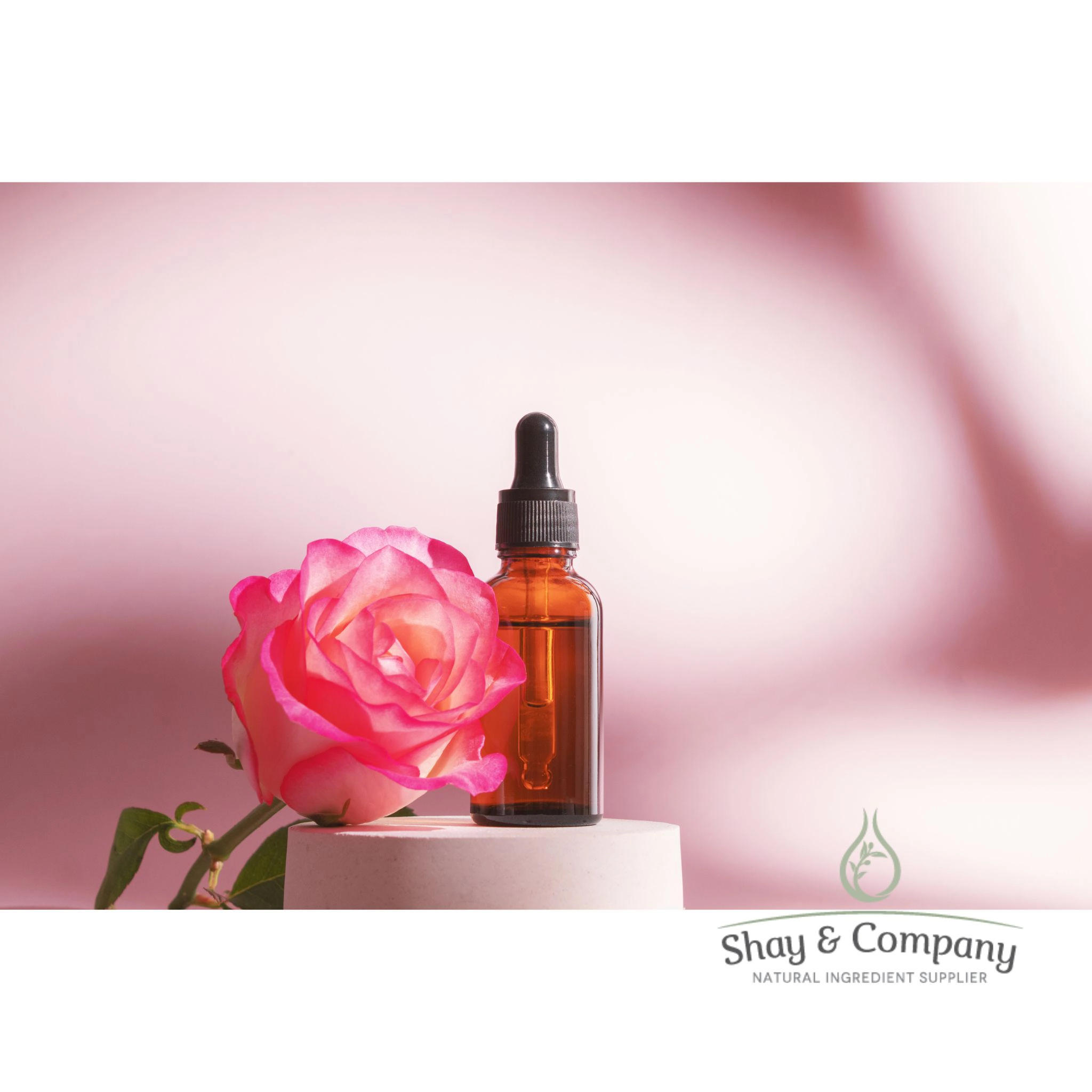 Rose Water Hydrosol (Hydrolat) Organic