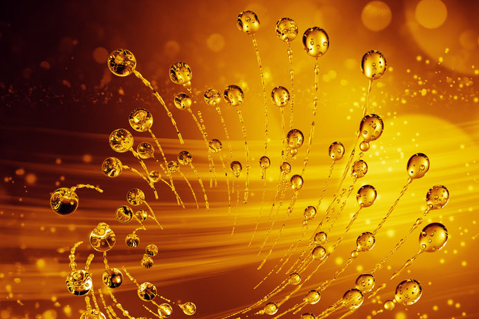 Leucidal Liquid Complete Broad Spectrum Preservative