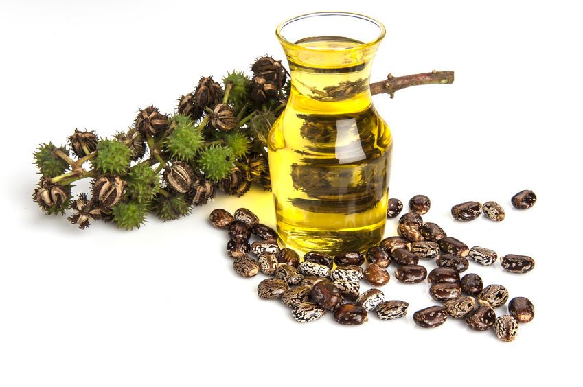 Castor Oil Organic USP Grade
