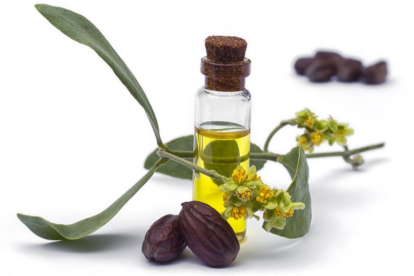 Jojoba Oil, Golden, Organic USA
