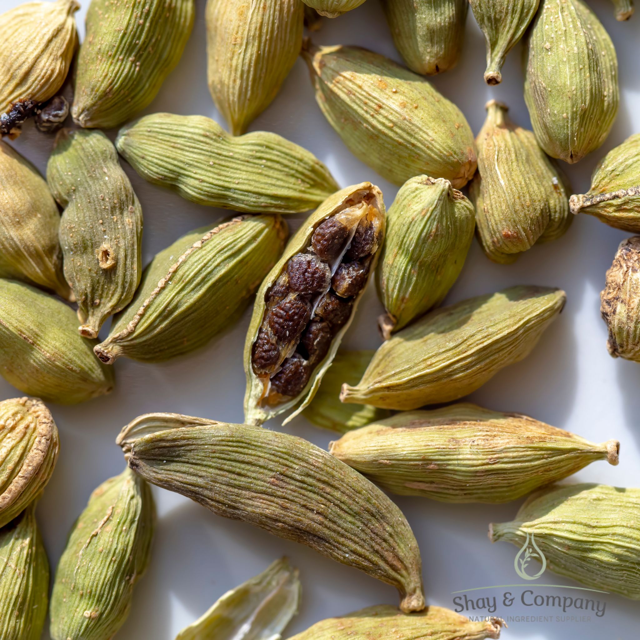Cardamom Fragrance **Limited supplies remain!