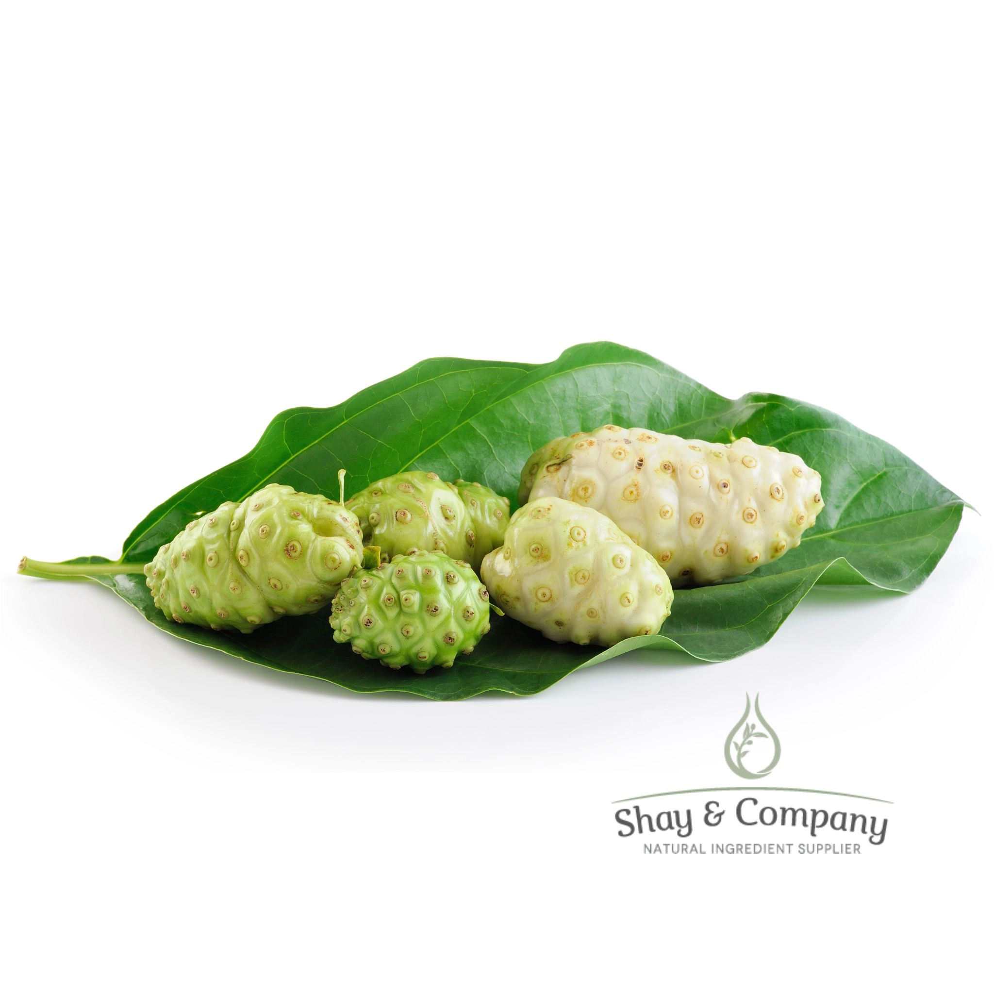 Noni Fruit Seed Oil Virgin Cold Pressed
