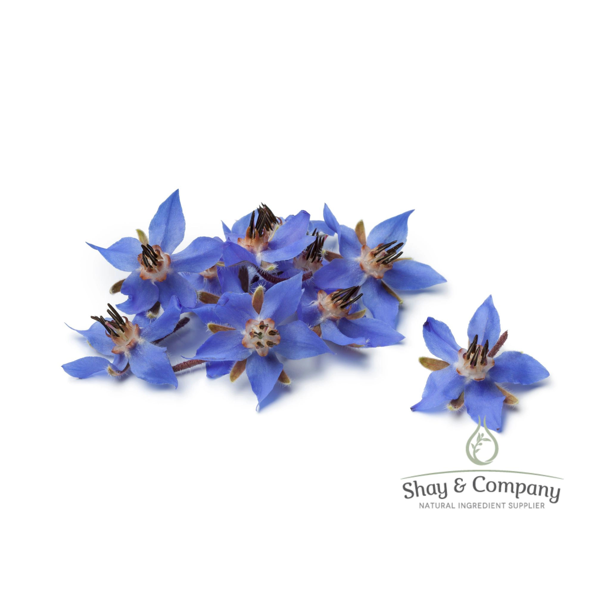 Borage Seed Oil Organic 20% GLA