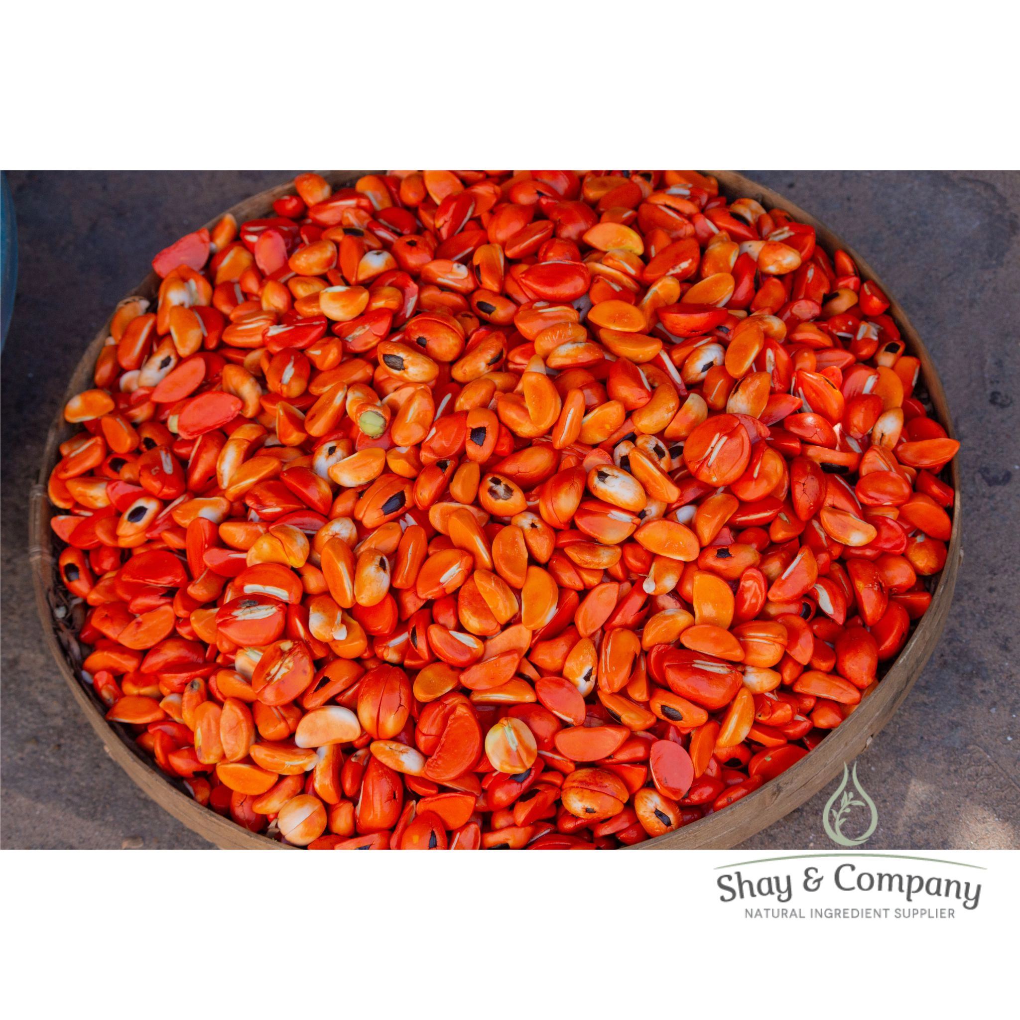 Mafura Seed Oil Virgin Cold Pressed