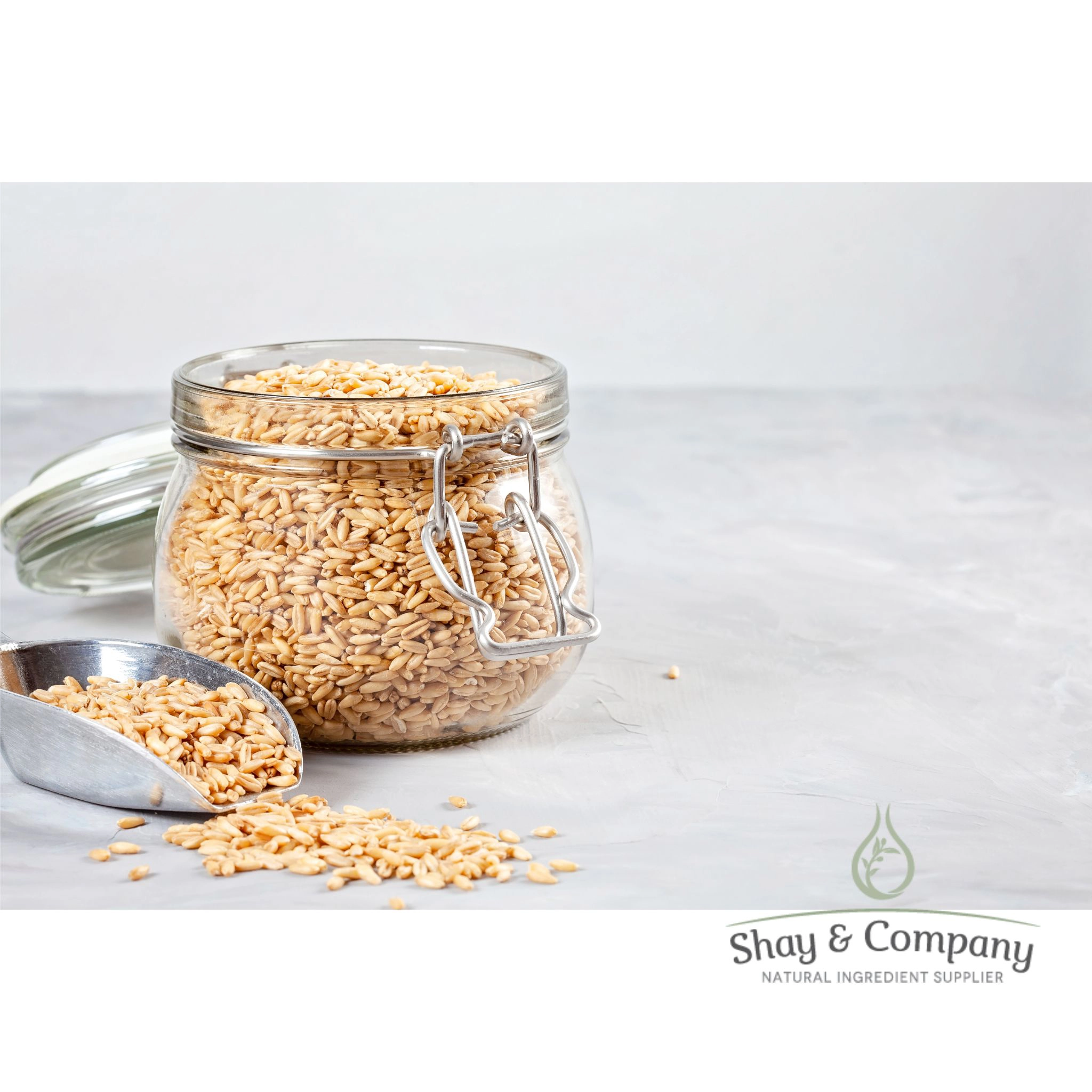 Foaming Oats PF (Sodium Cocoyl Hydrolyzed Oat Protein)