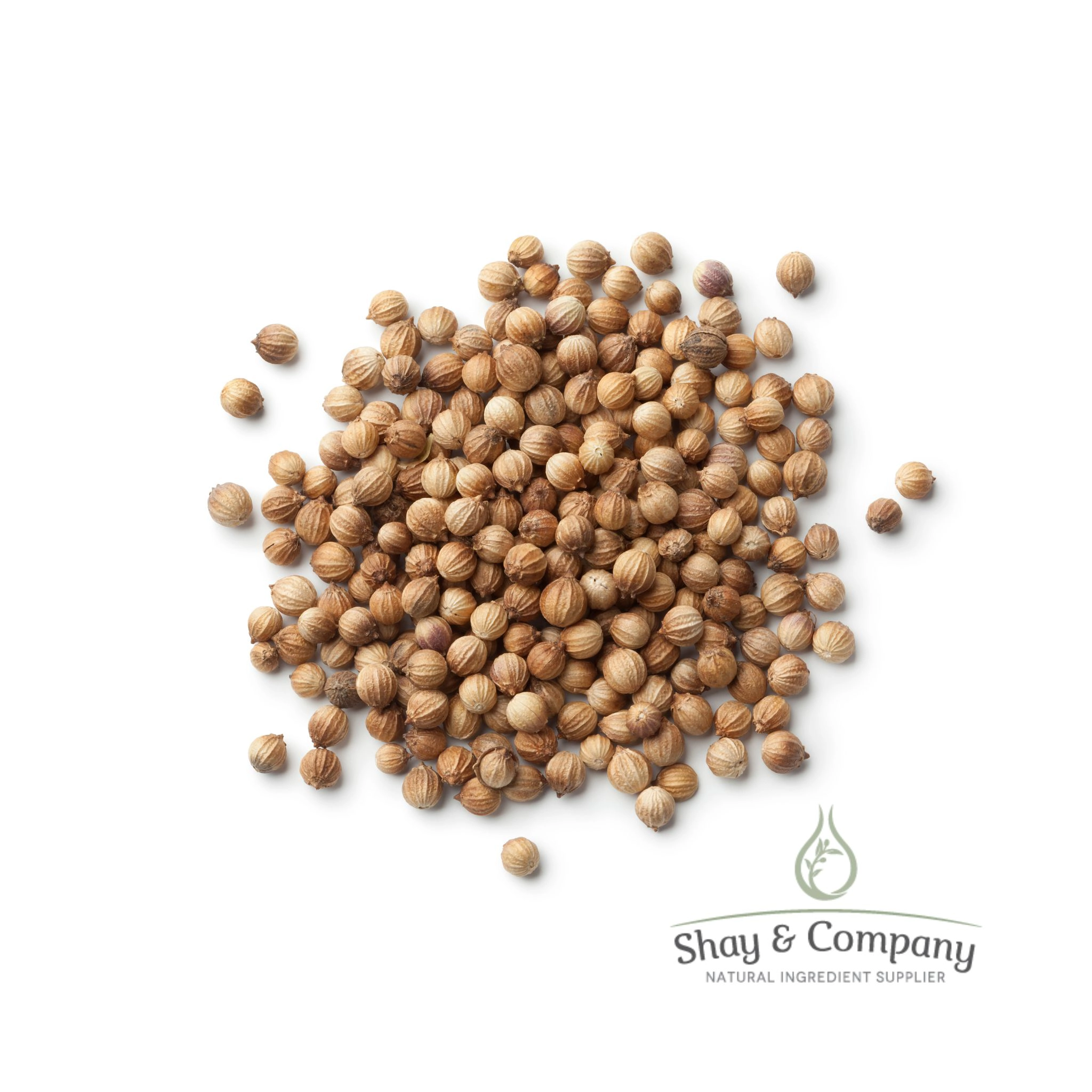 Coriander Seed Essential Oil