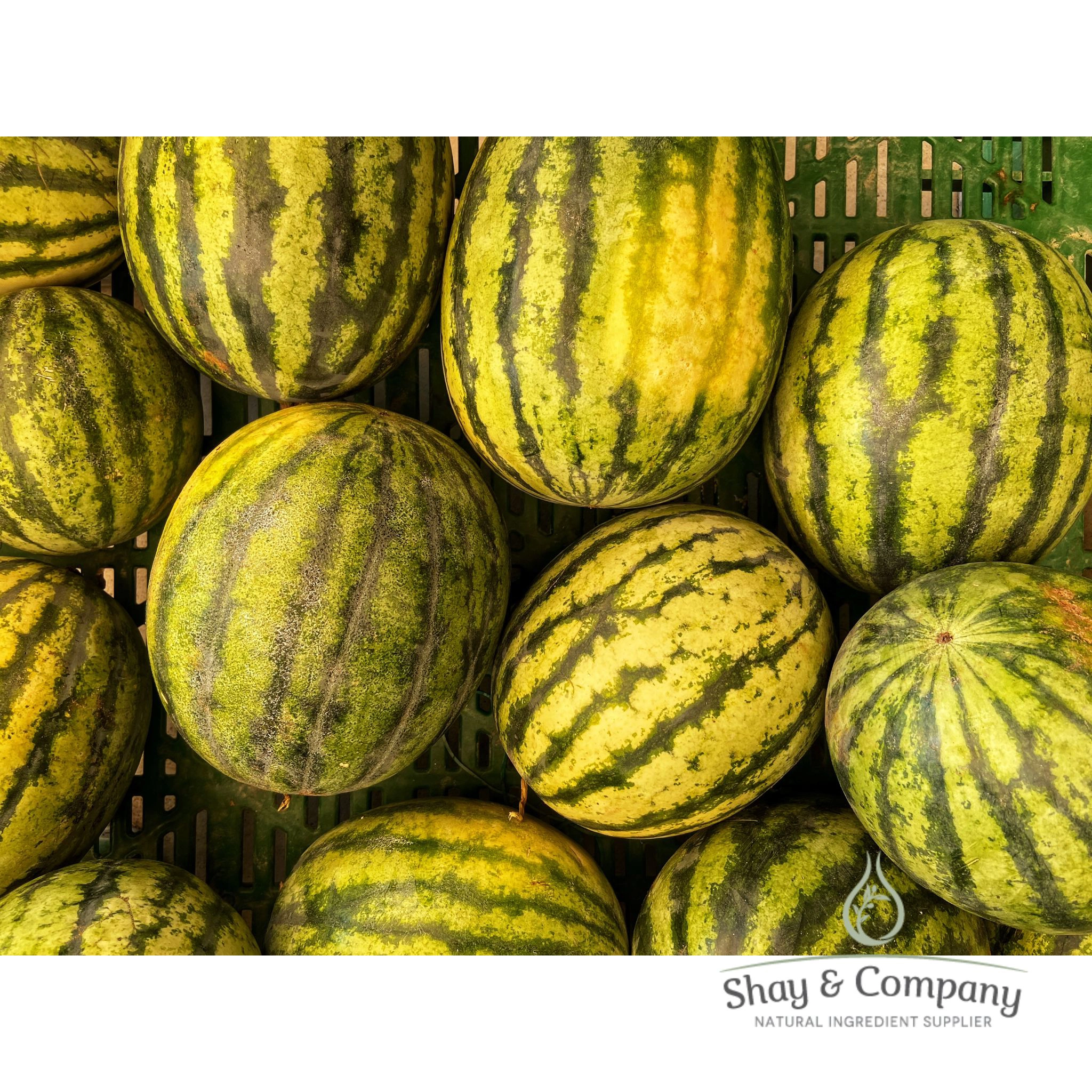 Kalahari Melon Seed Oil Organic Virgin Cold Pressed