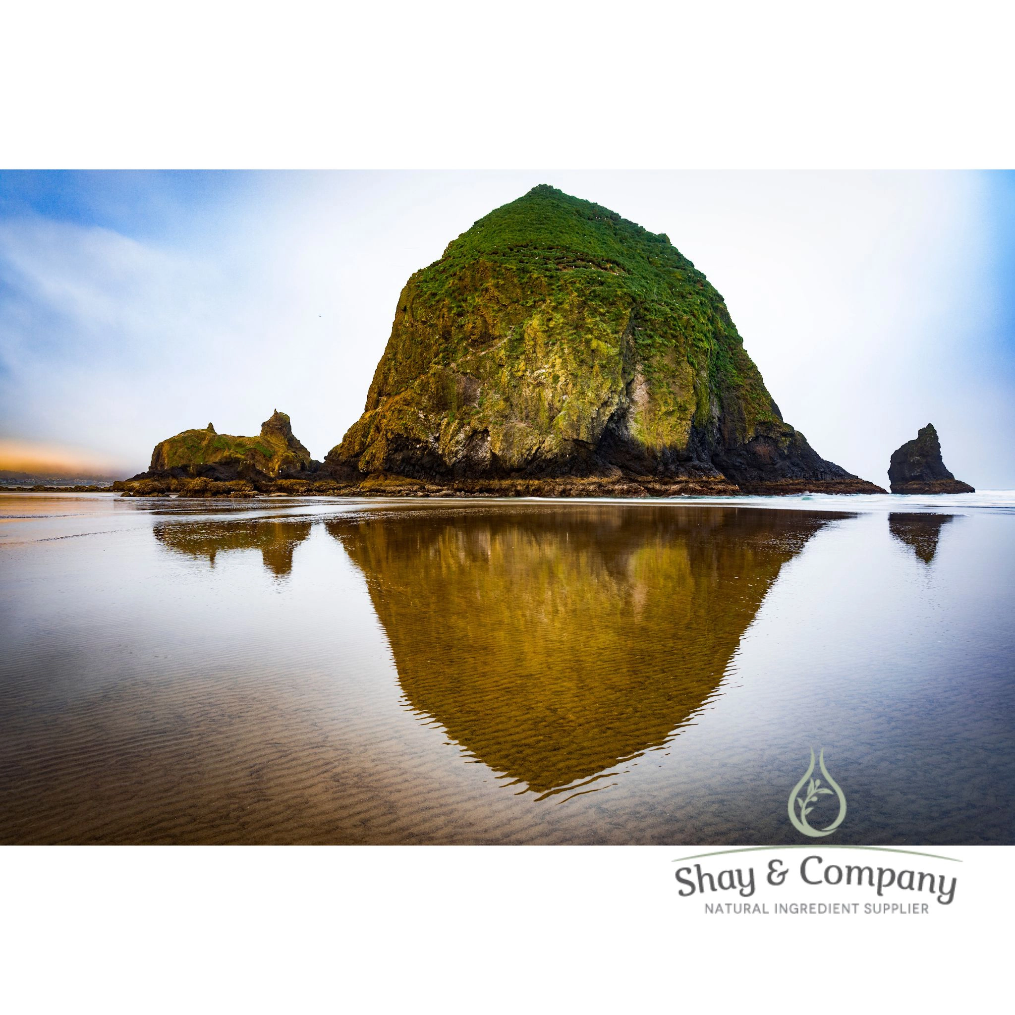 Cannon Beach 100% Natural Fragrance