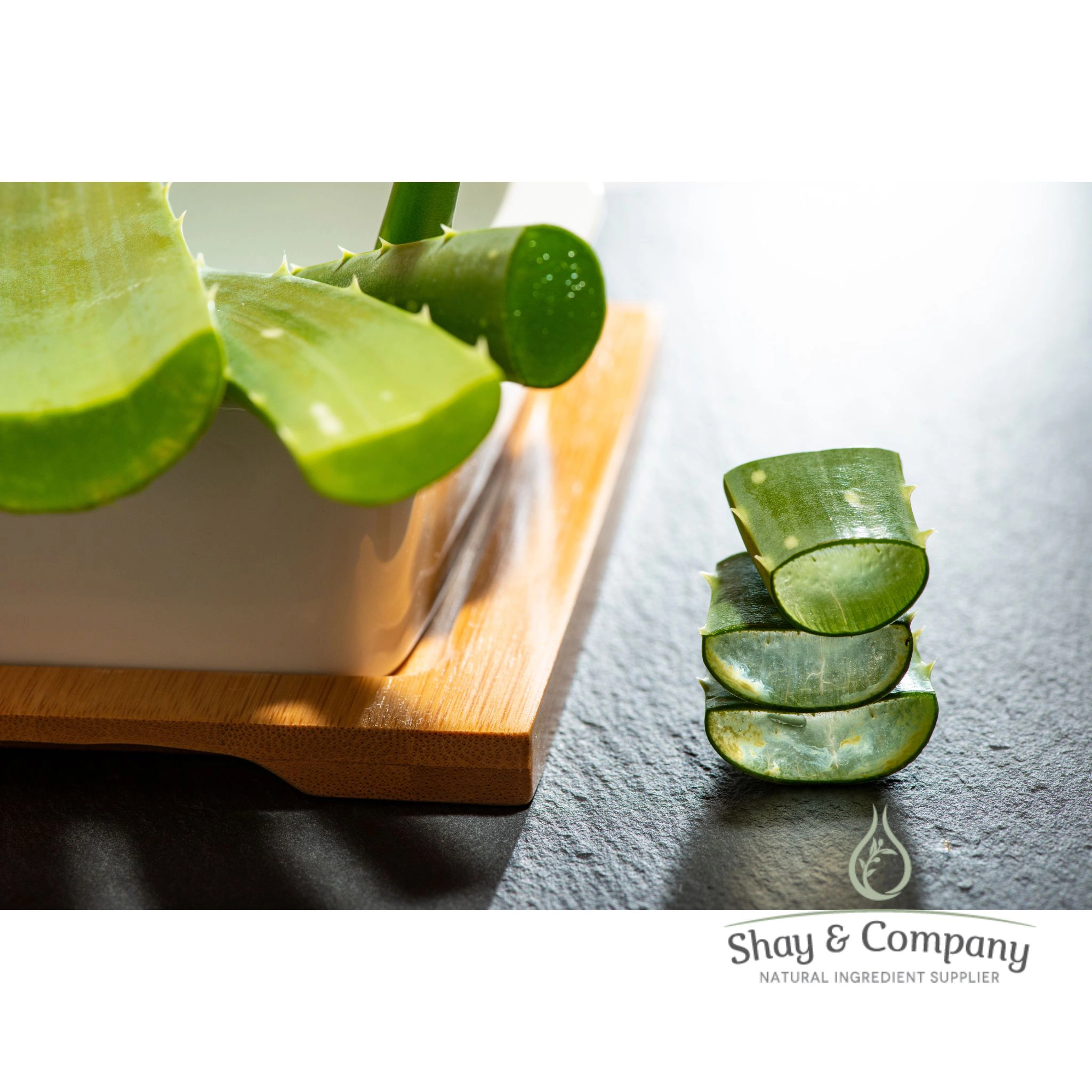 Fresh Cut Aloe Fragrance, 100% Natural