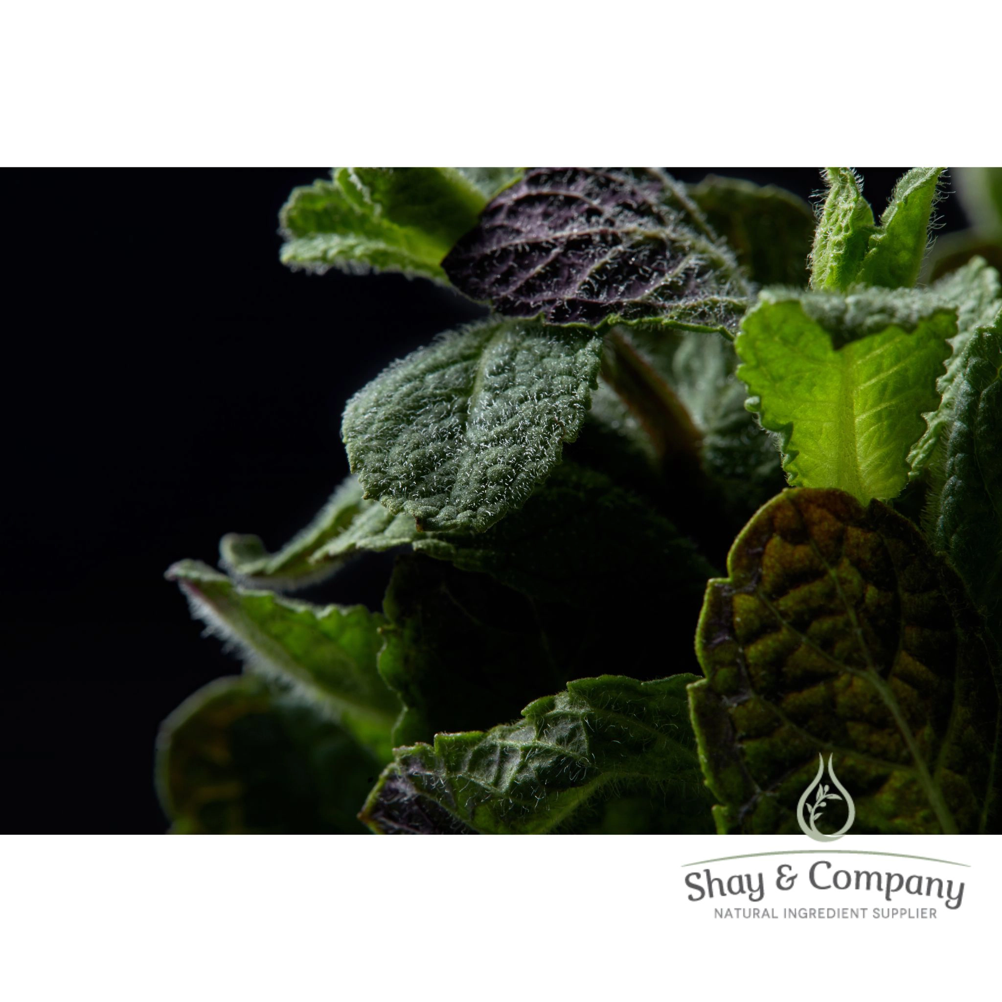 Bergamot Mint Essential Oil