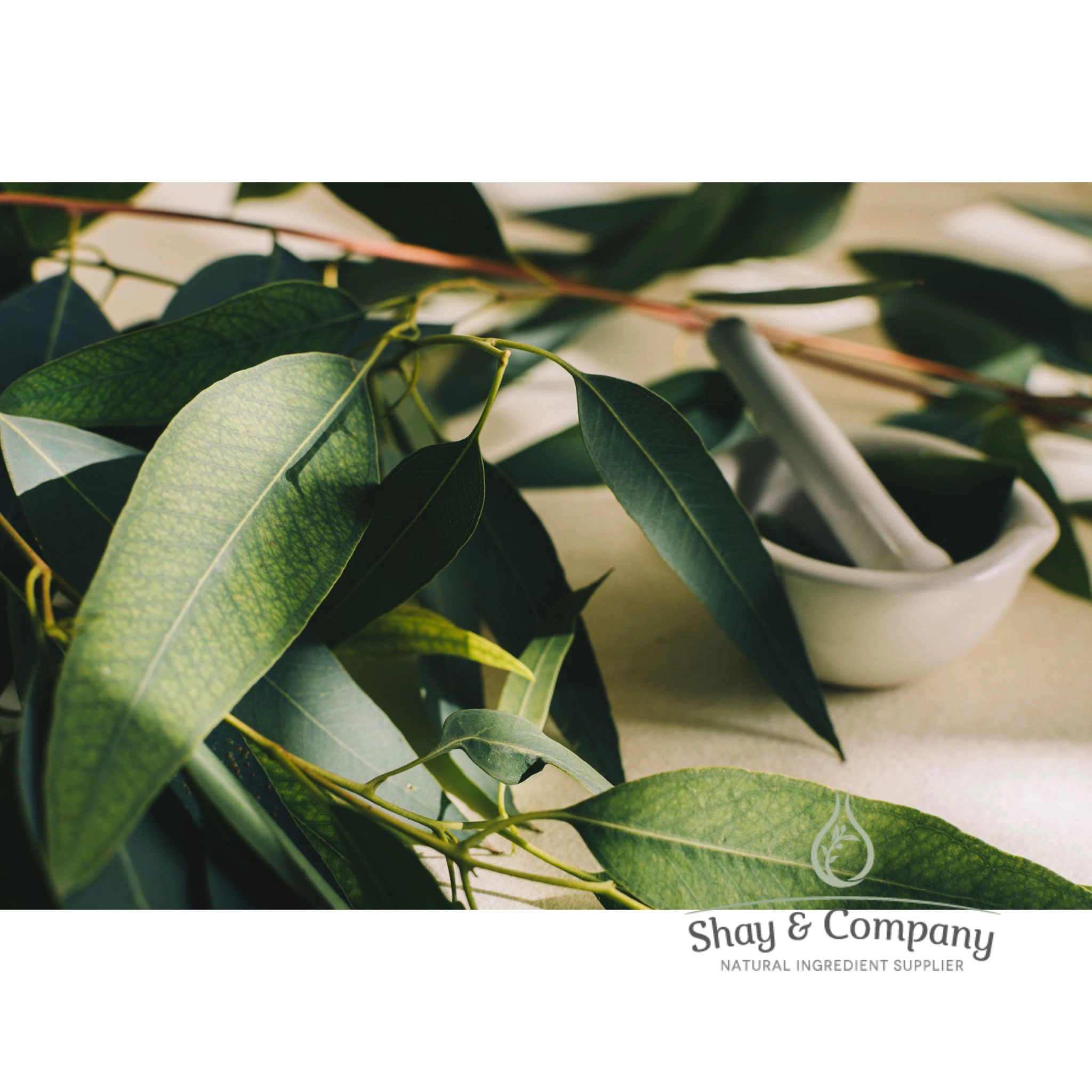 Lemon Eucalyptus Essential Oil