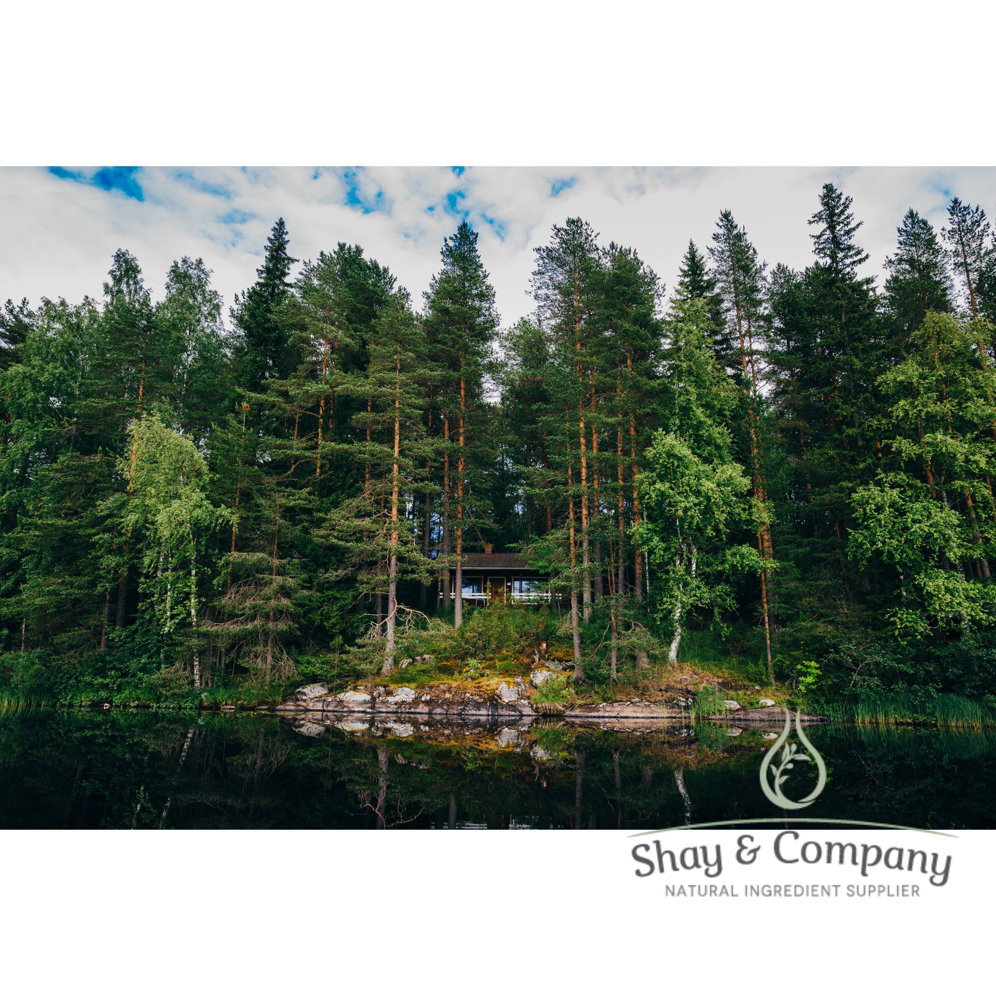 Log Cabin Fragrance 100% Natural