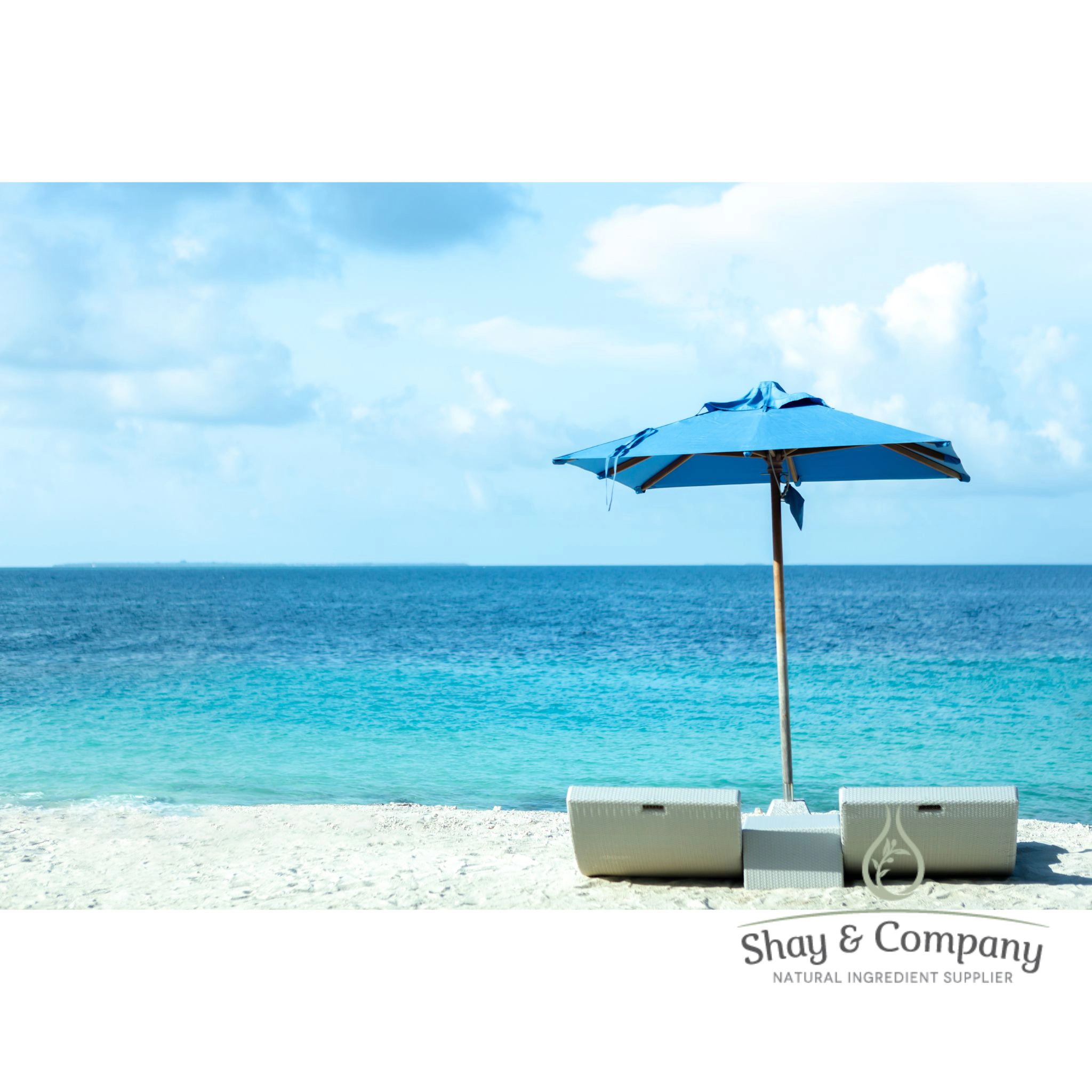 Ultimate Beach Getaway 92% Natural Fragrance