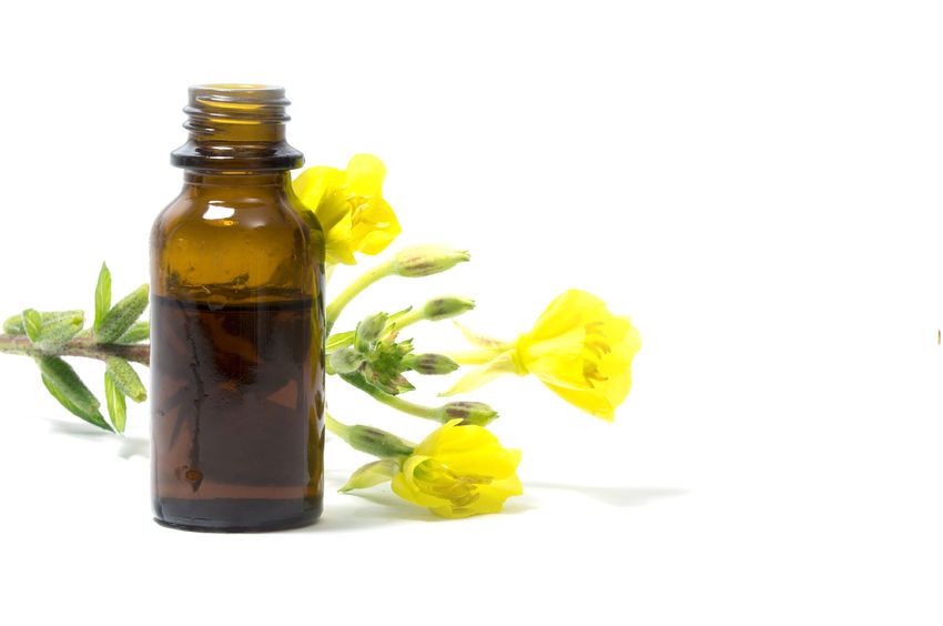 Organic Evening Primrose Oil | Shay and Company