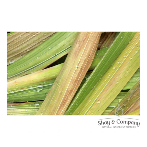 Close up of lemongrass blades