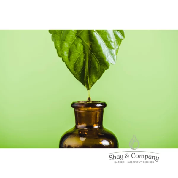 clove leaf essential oil