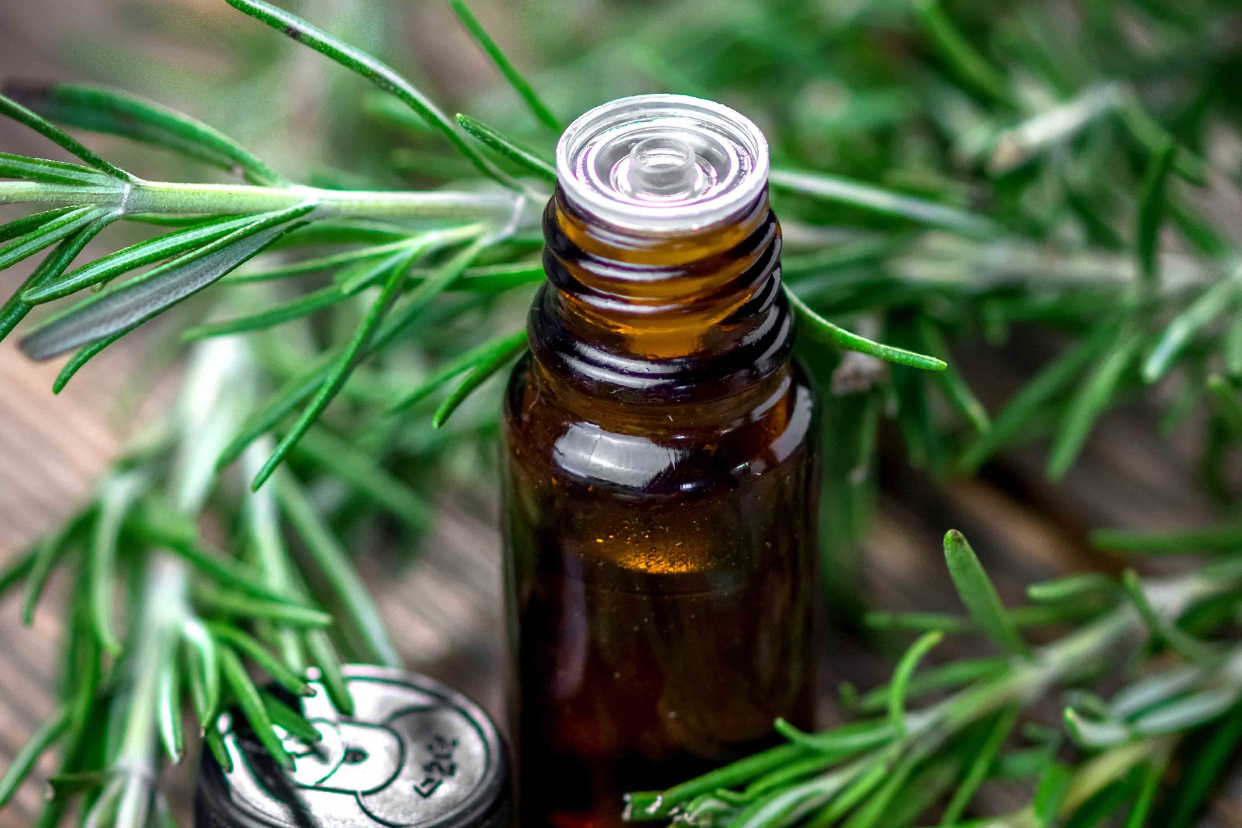 Rosemary Essential Oil, Spanish Cineole