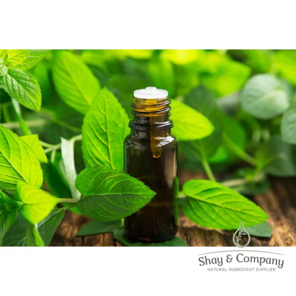 spearmint essential oil